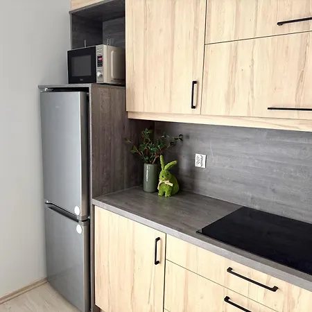 Apartment Ab Mountain View *