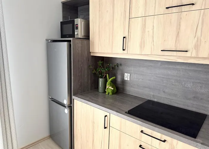 Apartament Ab Mountain View *